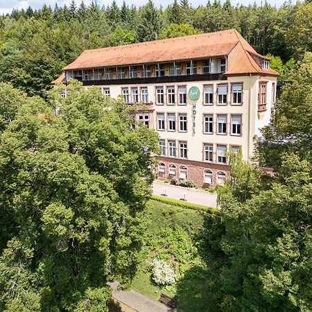 Roomingtons Hotel Franziskushoehe Lohr Exteriér fotografie