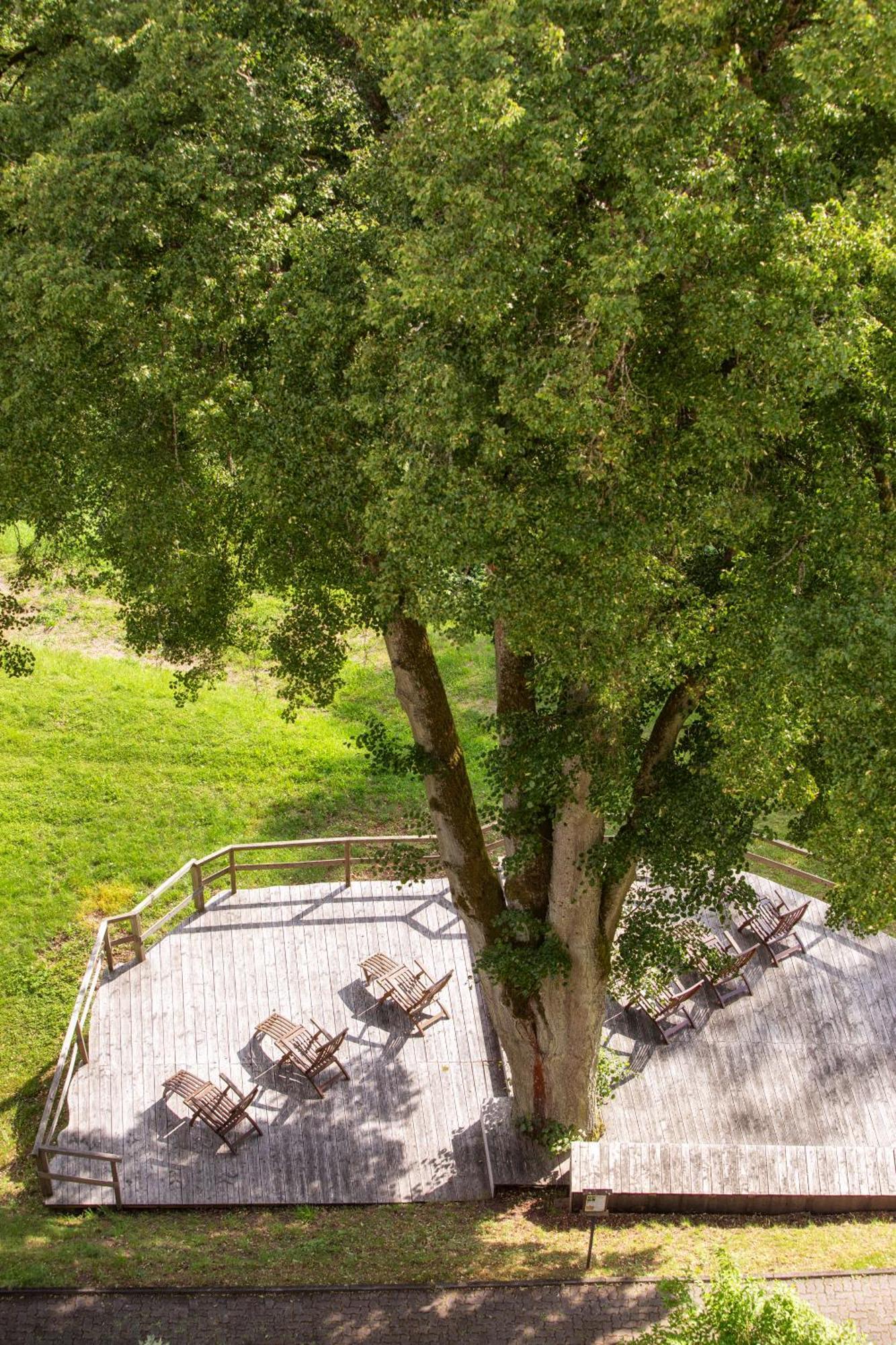 Roomingtons Hotel Franziskushoehe Lohr Exteriér fotografie