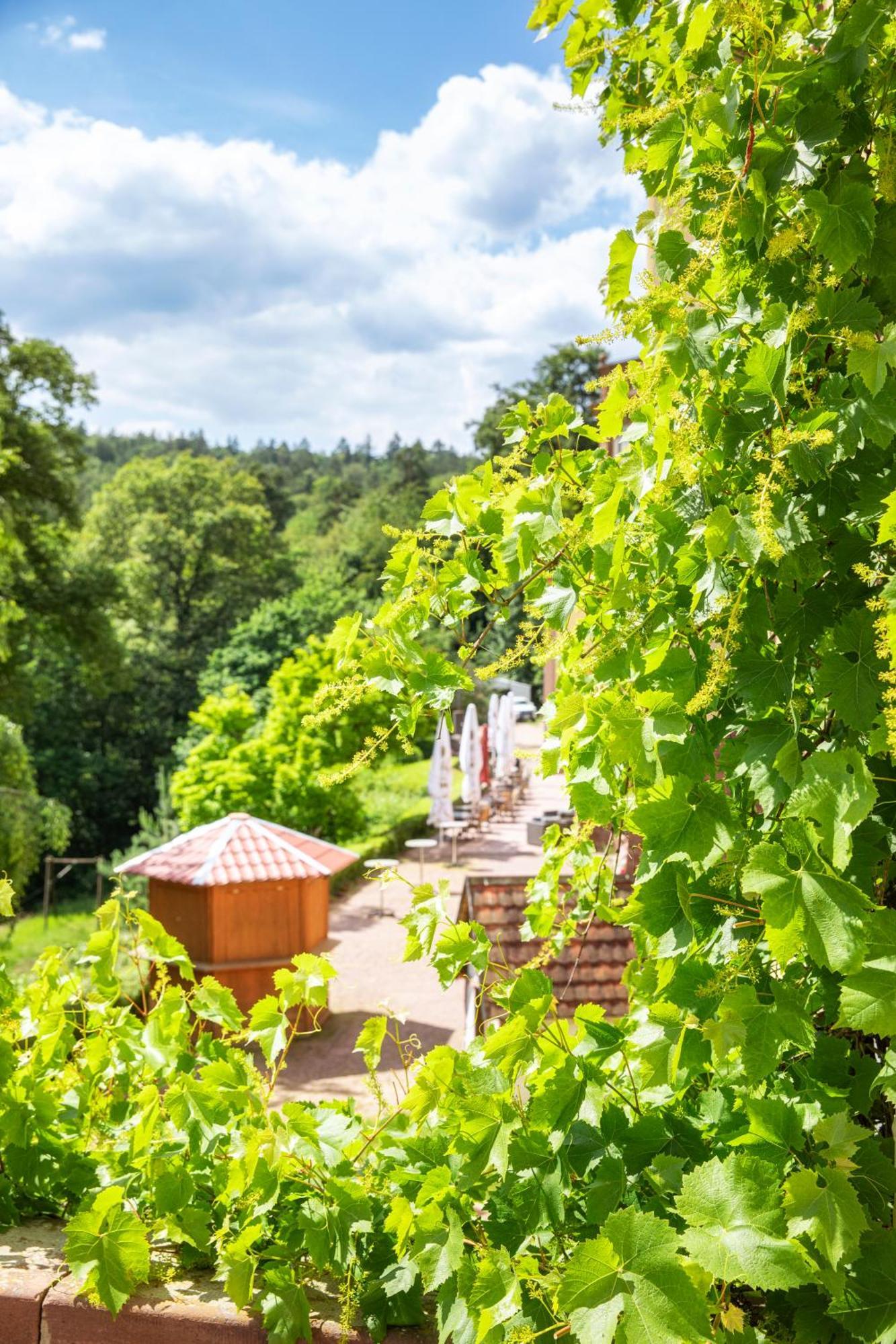 Roomingtons Hotel Franziskushoehe Lohr Exteriér fotografie