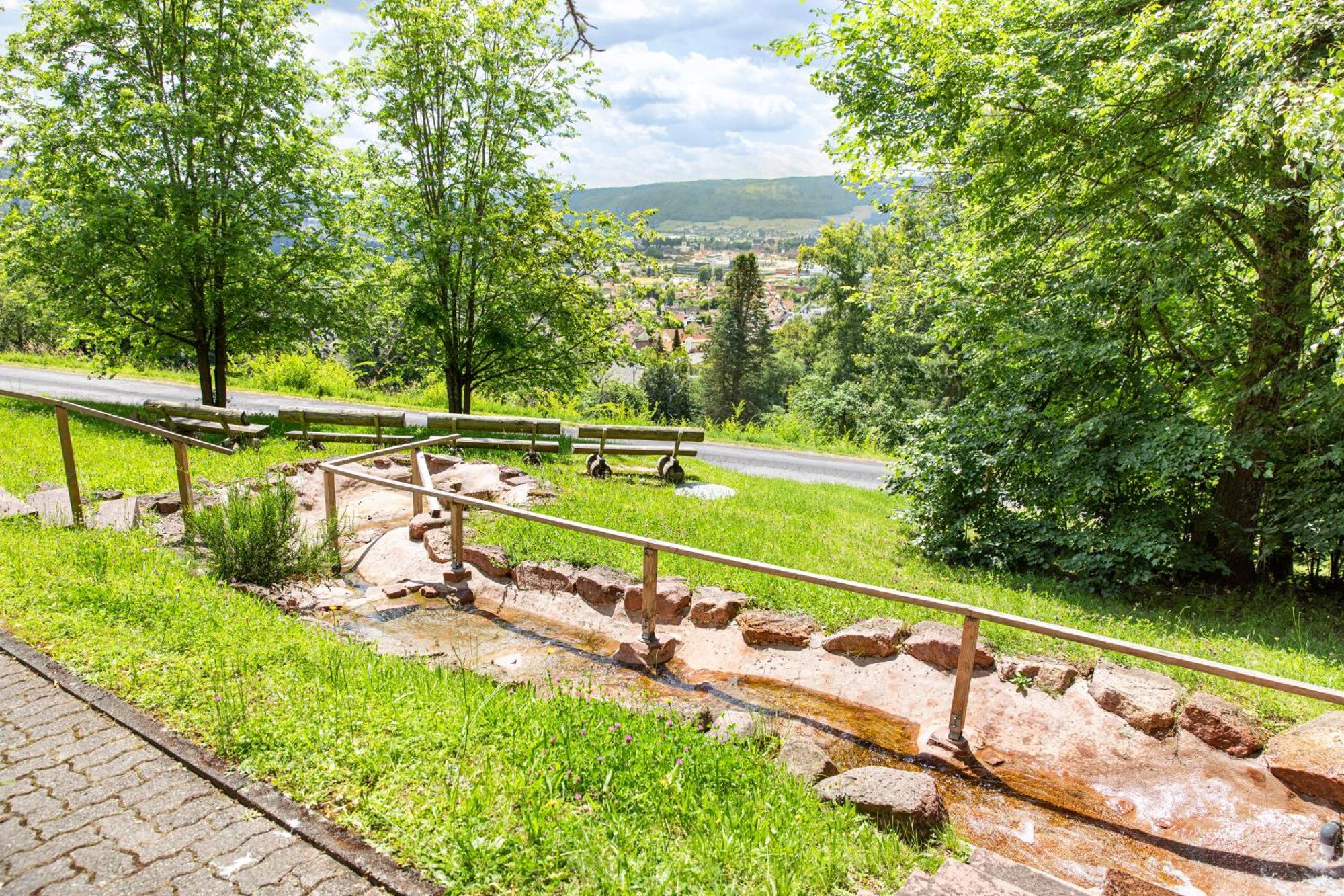 Roomingtons Hotel Franziskushoehe Lohr Exteriér fotografie